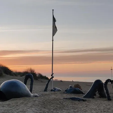 Le Char A Voile De Panne